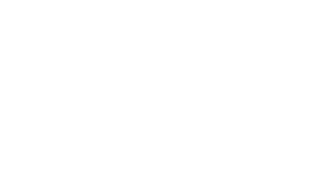 G-Met - G-MET-site-web-logos-ansys