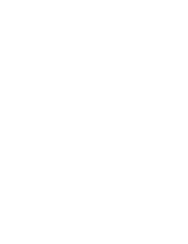 LOGO - IBIS