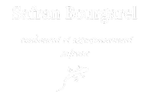 LOGO - SAFRAN
